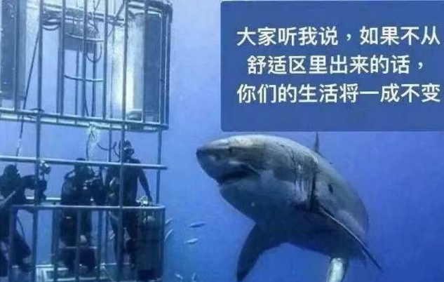 同理：鲨鱼并不想吃你，只是想抱抱你（真的）